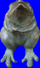 2000_m_BBph_inorukaeru1.png(7448 byte)